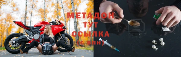 стафф Новозыбков