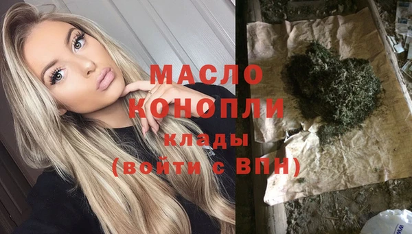 гашик Няндома