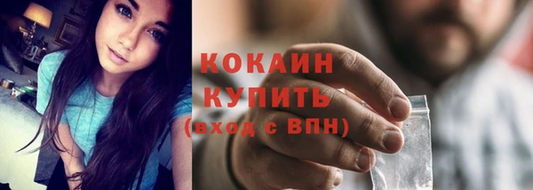 гашик Няндома