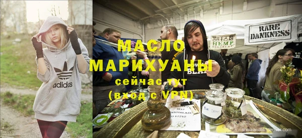 гашик Няндома