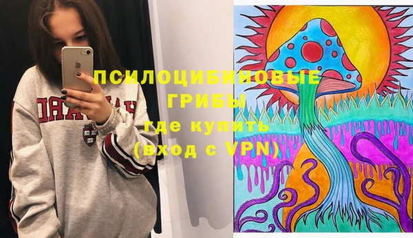 дживик Нязепетровск