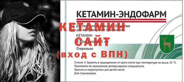 гашик Няндома
