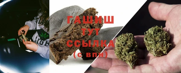 гидра Новодвинск