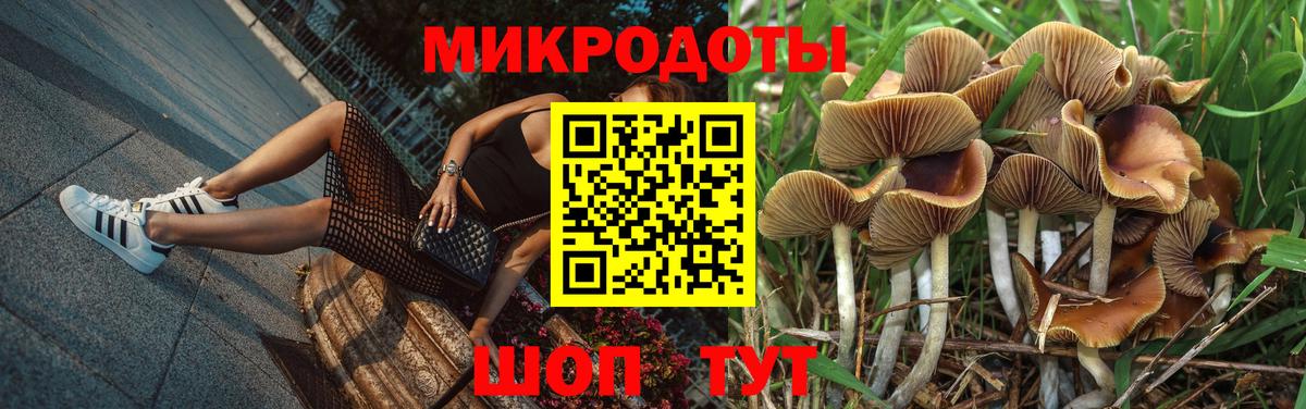 Псилоцибиновые грибы мухоморы  Псилоцибиновые грибы MAGIC MUSHROOMS  Вход с VPN  Котовск 